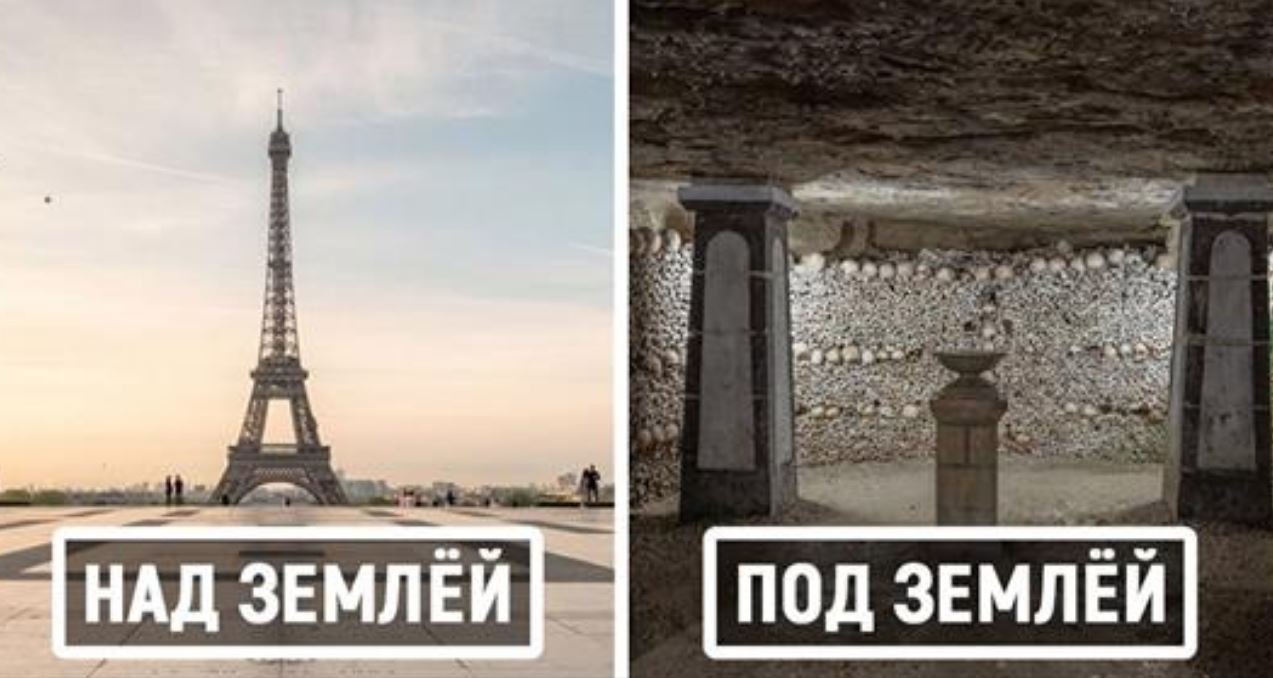 Черновик