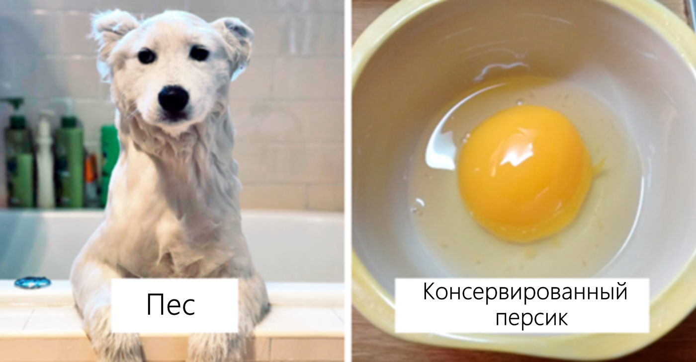 Черновик