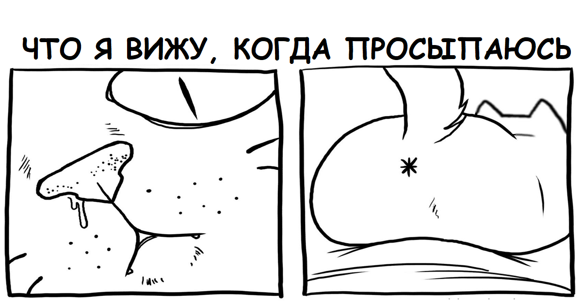 Черновик