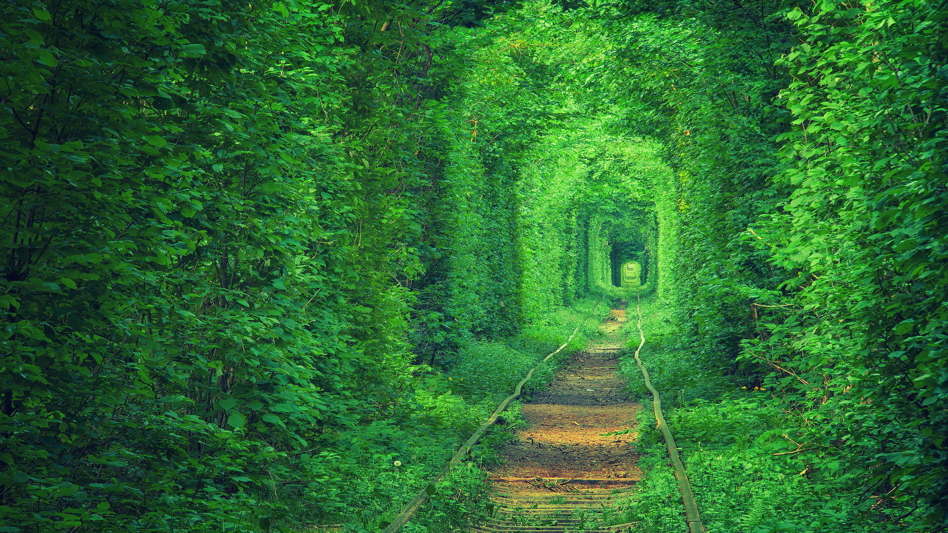 Туннель любви украина фото