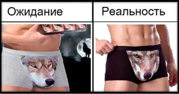 Трусы с рисунком волка