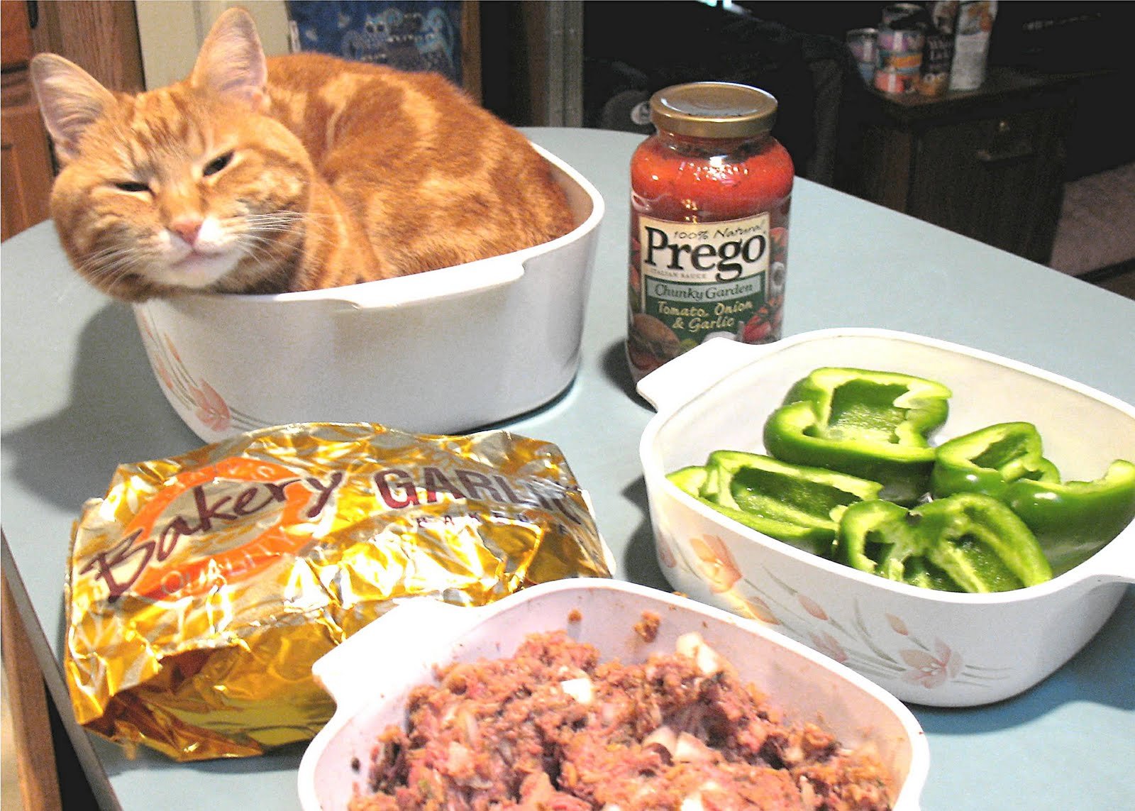 Сходим покушать. Котик с едой. Кот уснул в еде. Завтрак с котиками. Кот валяется на еде.