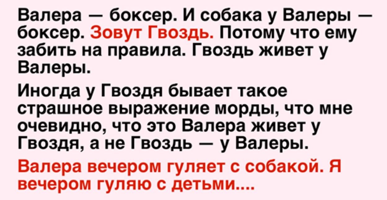 Валера боксер. Собачий Валера. Собака на гвозде. Валерка для собак.