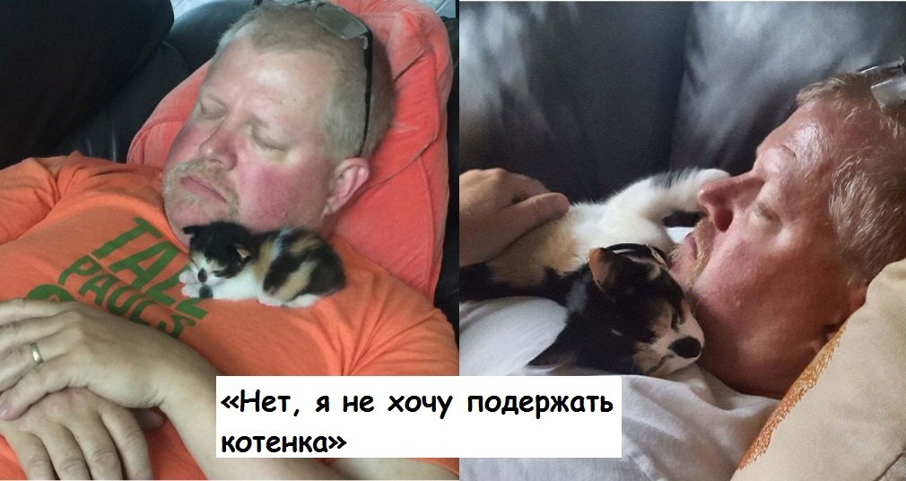 Черновик