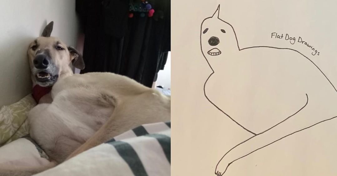 Собака в форме человека. Собака на руках. Неожиданные рисунки. Собака на руках Мем. Собака на руках иллюстрация.