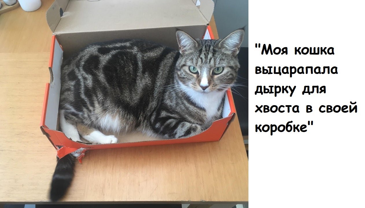 Черновик