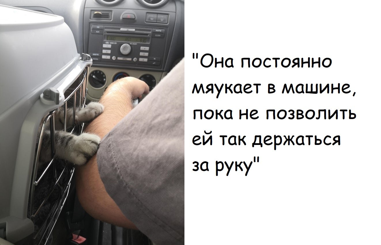Черновик