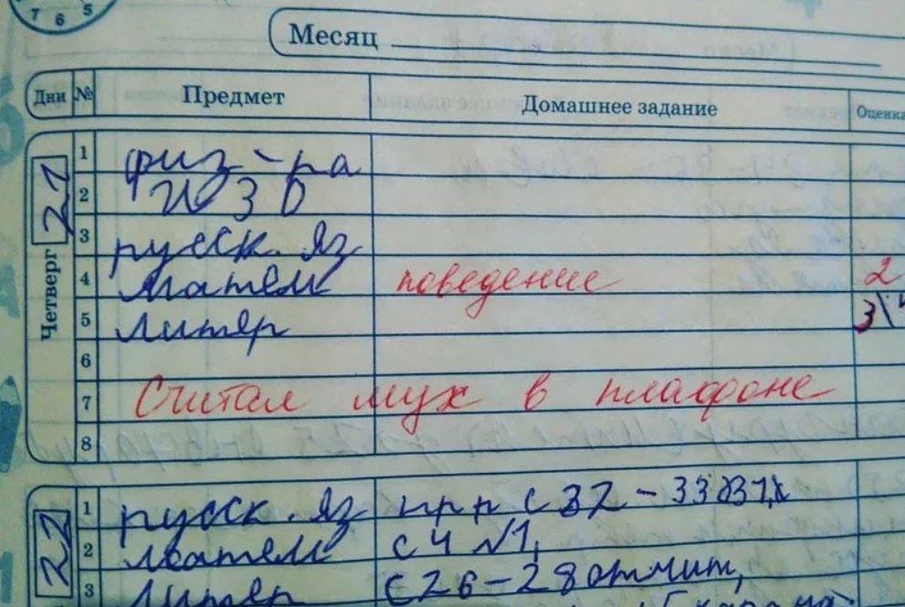 Замечание в дневник за плохое поведение образец