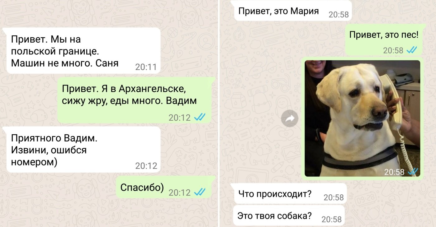 13 забавных диалогов