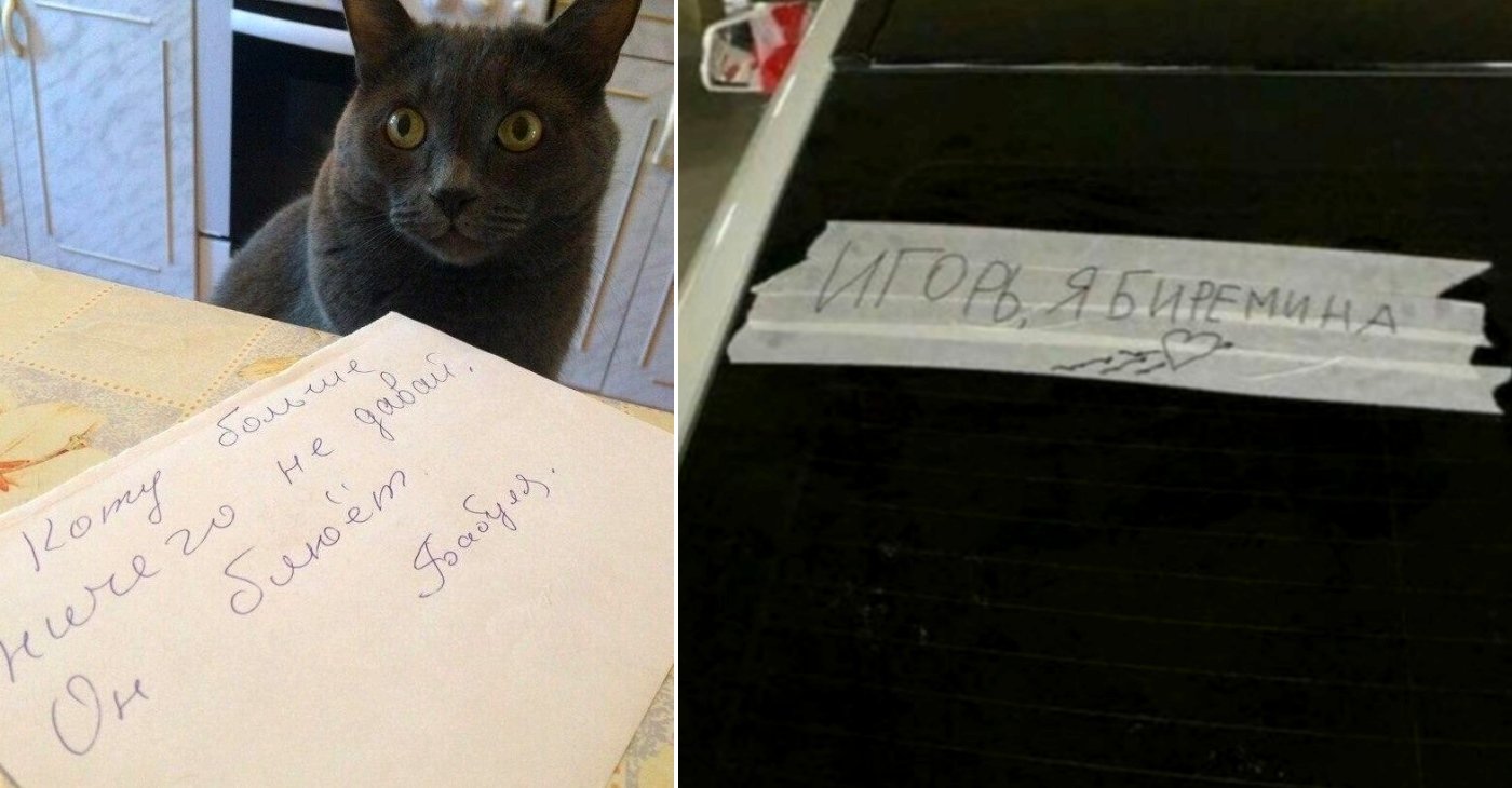 Записка. 14 записок. Прикольные объявления для соседей. Смешные записки от соседей. Записка любимому мужчине.