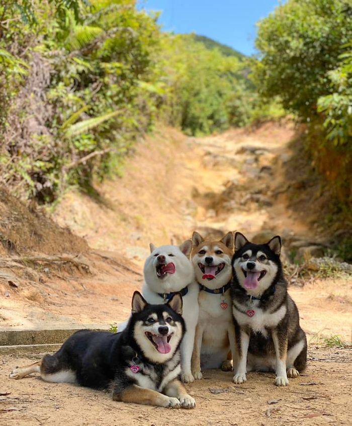 У каждого есть друг который испортит фотографию