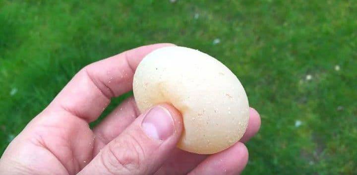 Необычные яйца. Куриные яйца странной формы. Яйца куриные в Китае странной формы. Почему скорлупа мягкая
