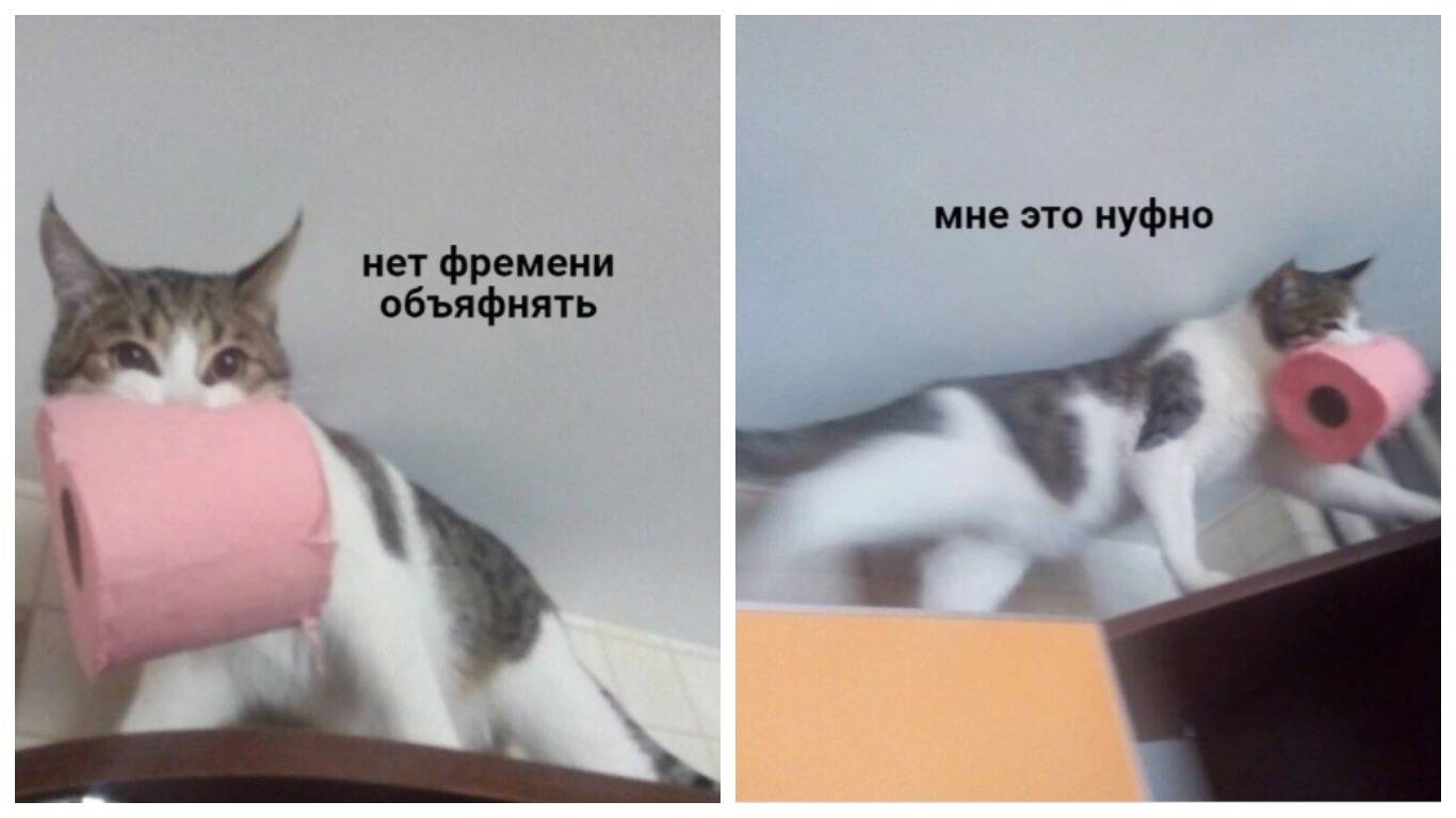 Конечно кота