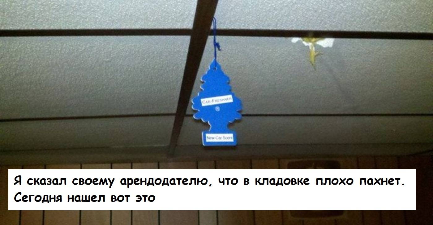 Не повезло с квартирой. Не повезло с квартирой