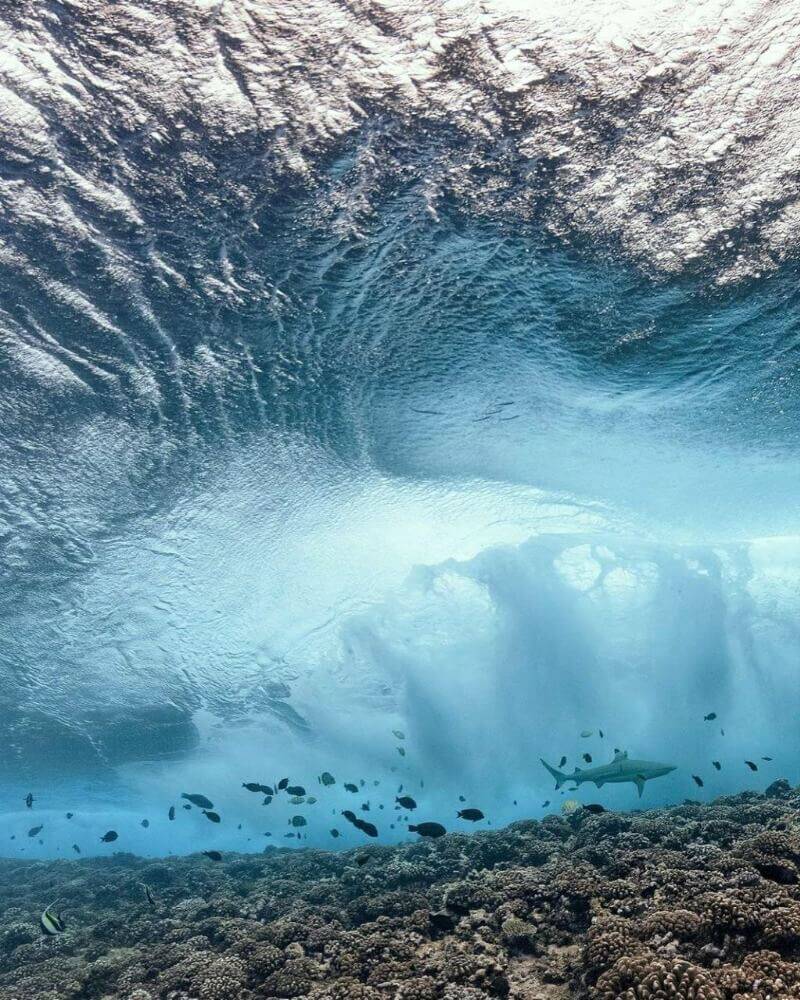 Глубокие воды фото из фильма