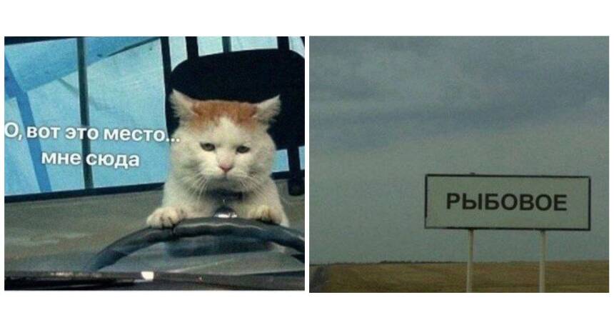 разговоры о важном 15 января картинки. прорыв блокады. разговоры о важном 15 января картинки. день снятия блокады г. освобождение ленинграда от блокады.