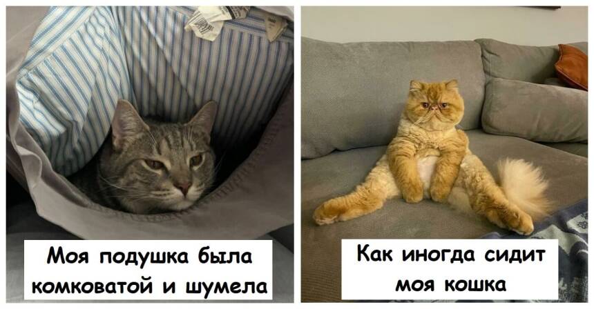 Мем завтра все сделаю. А почему сейчас не делаешь. Зачем мем. Лучше быть. А почему сейчас не делаешь.