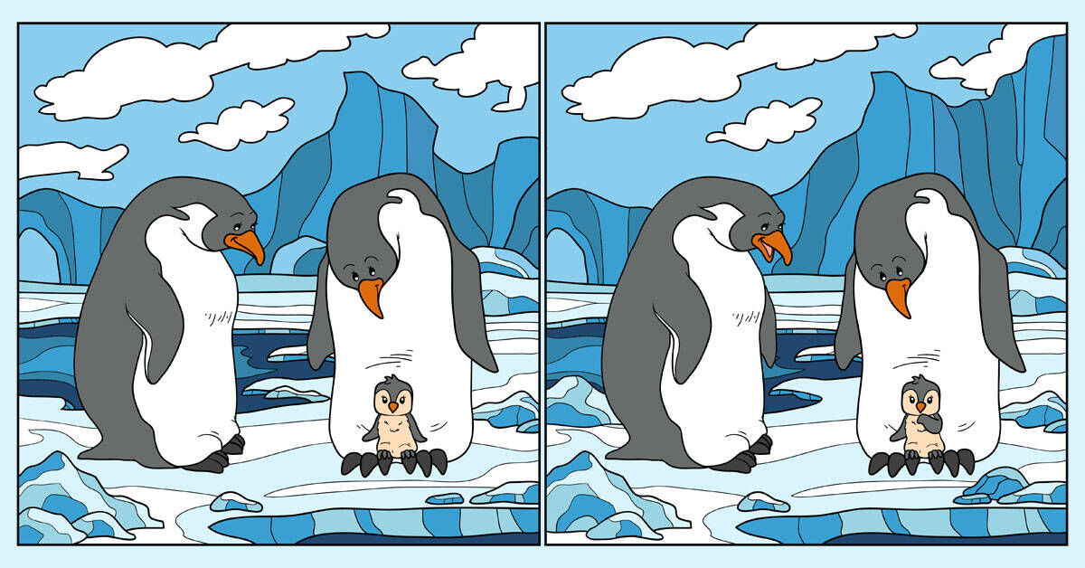 Задания с пингвинами. Найди отличия пингвины. Пингвины задания для детей. Найди отличия животные севера. Среди пингвинов есть и драчуны найти